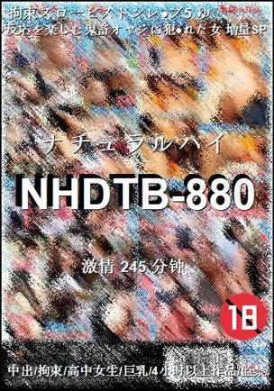 NHDTB-880245 
