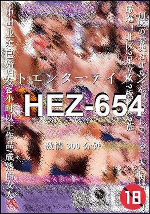 HEZ-654300 