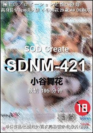 SDNM-421195 