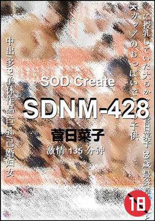 SDNM-428135 
