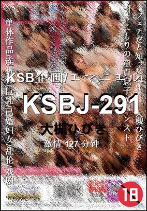 KSBJ-291127 