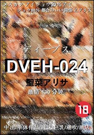 DVEH-024130 