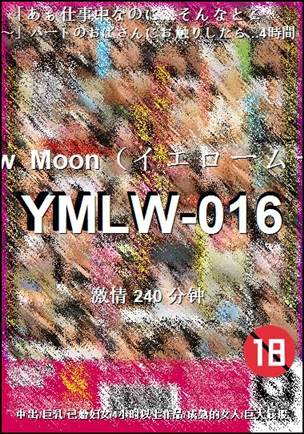 YMLW-016240 