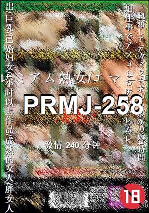 PRMJ-258240 