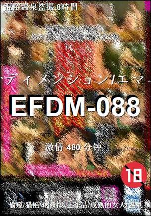 EFDM-088480 