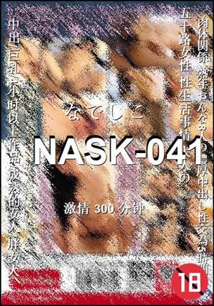 NASK-041300 