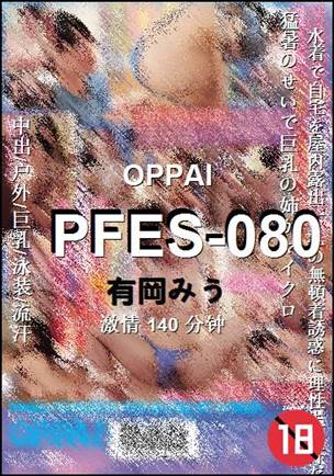 PFES-080140 分钟