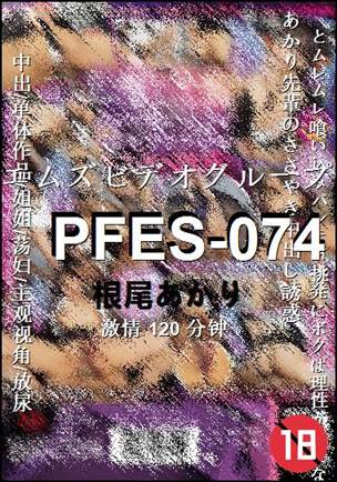 PFES-074120 分钟