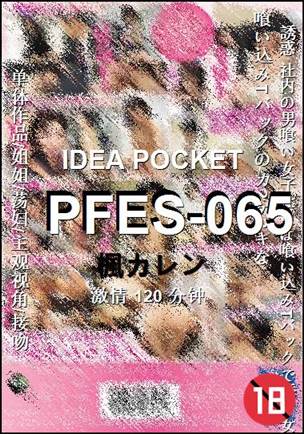 PFES-065120 