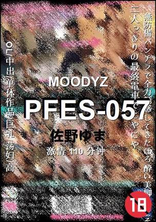 PFES-057110 