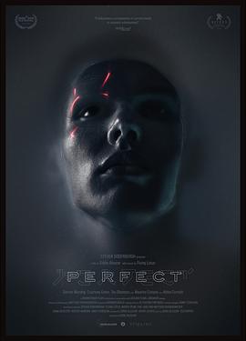 PerfectƬ