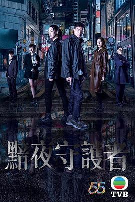 暗夜守护者20集