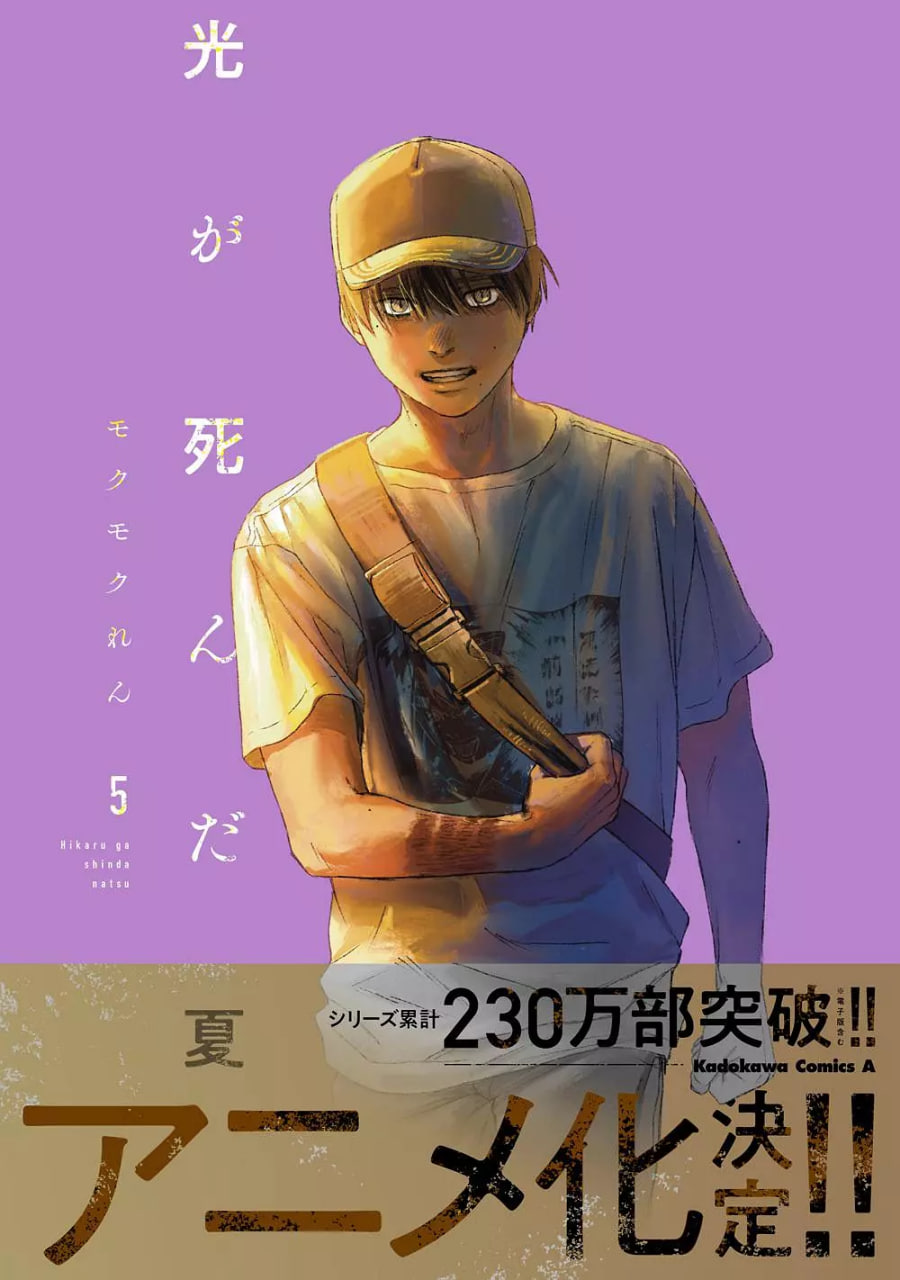 光逝去的夏天2集