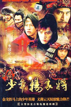 少年杨家将43集