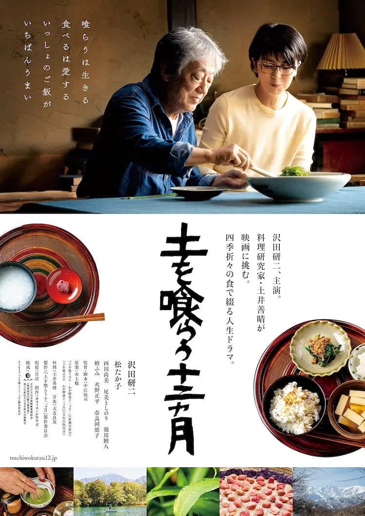 吃土的十二个月正片