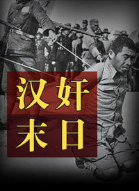 汉奸末日6集